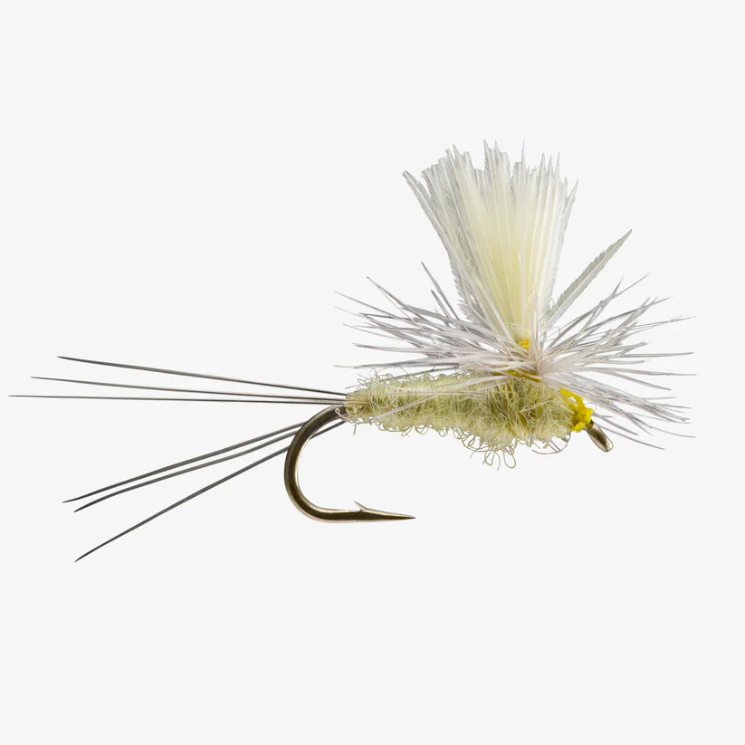 Parachute PMD