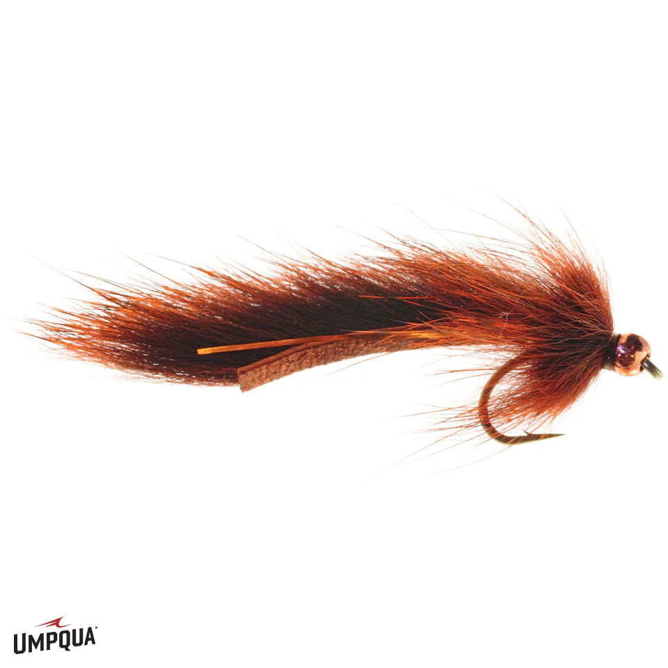 Pine Squirrel Leech #12