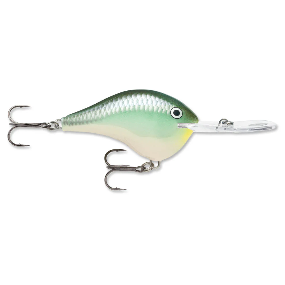Rapala DT 20 Metal Crankbait - Image 3