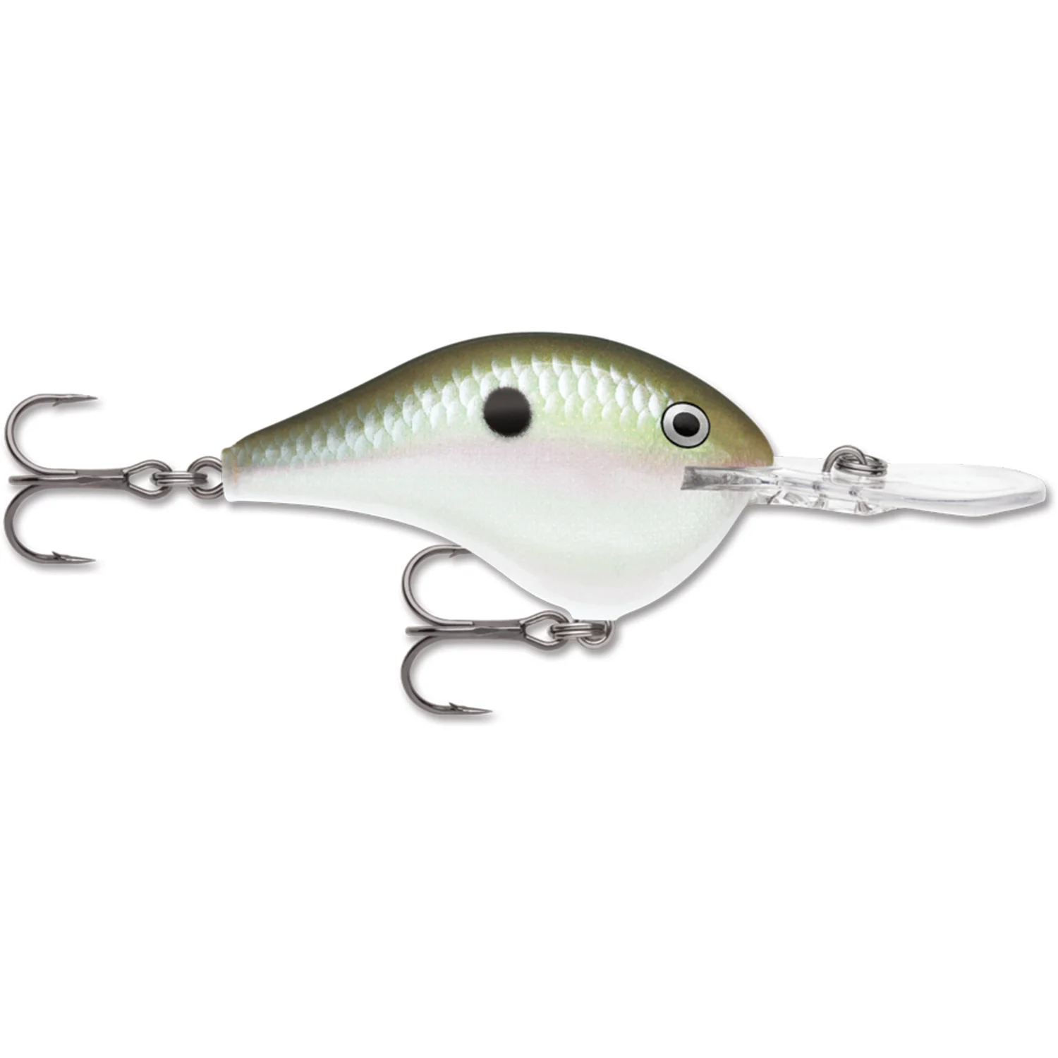 Rapala DT06 - Image 19