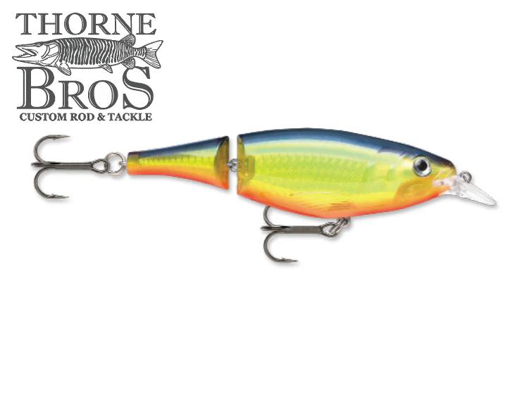 Rapala X-Rap Jointed - Image 5