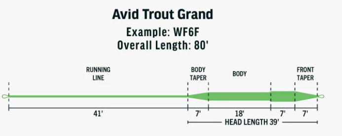 Rio Avid Grand - Image 3