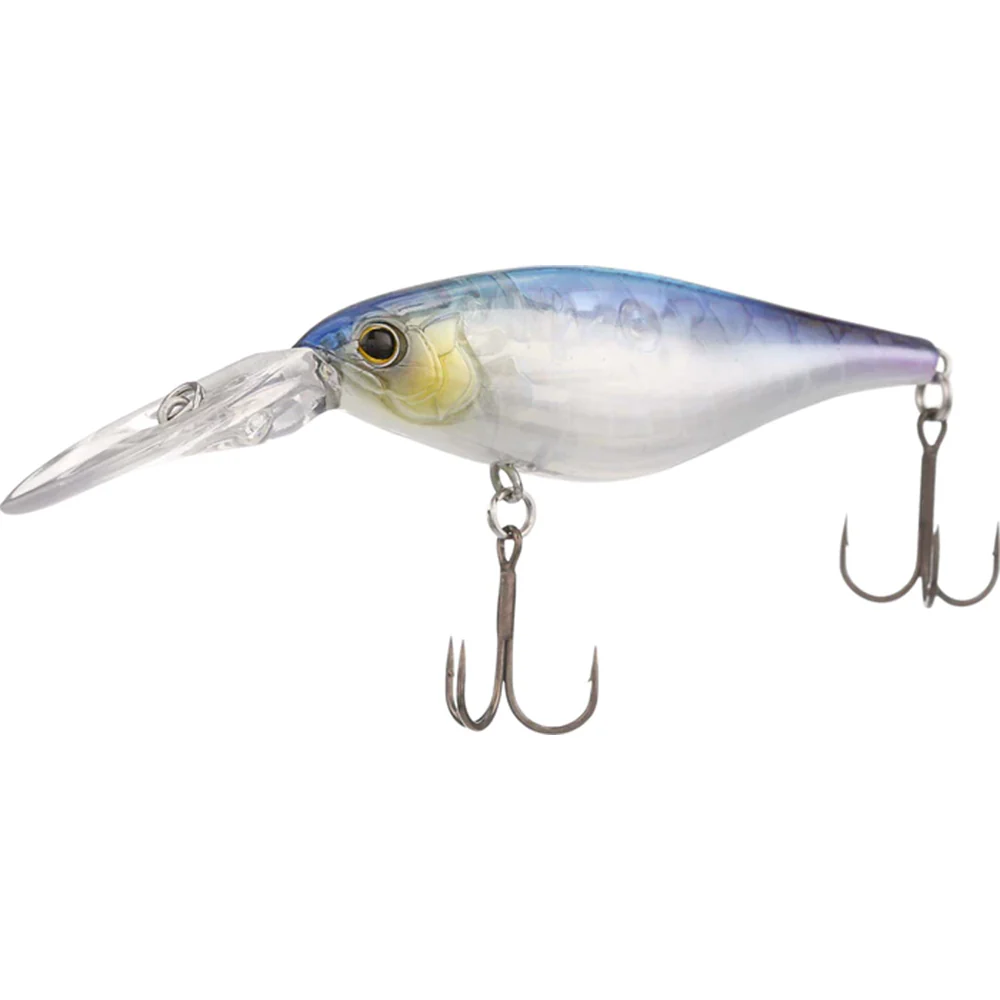 Shimano Enber 60SP - FB - Image 6