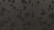Skirts Plus Natures Edge (10 Pack) - Image 9