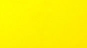Skirts Plus Standard Glitter (10 Pack) - Image 4
