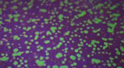 Skirts Plus ZM Series (10 Pack) - Image 5