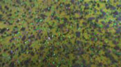 Skirts Plus ZM Series (10 Pack) - Image 7