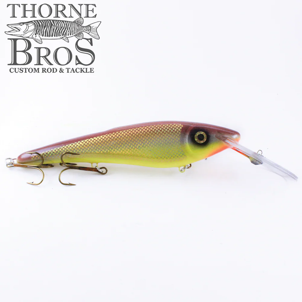 Slammer 10" Deep Shad - Image 4
