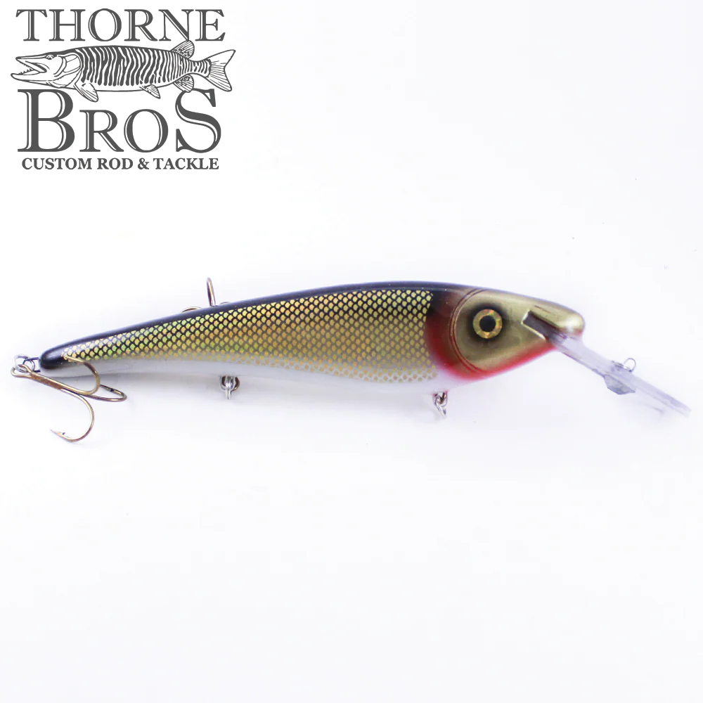 Slammer 10" Shallow Shad - Image 10