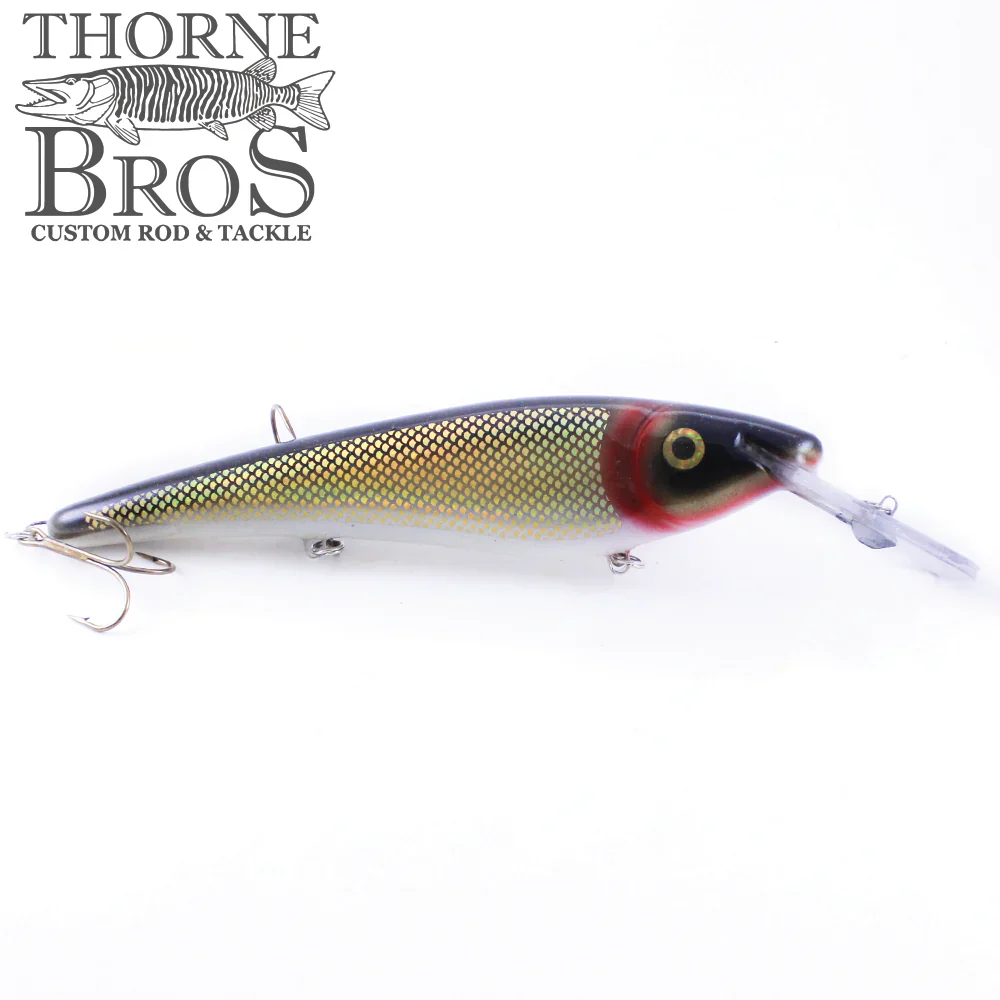 Slammer 10" Shallow Shad - Image 12