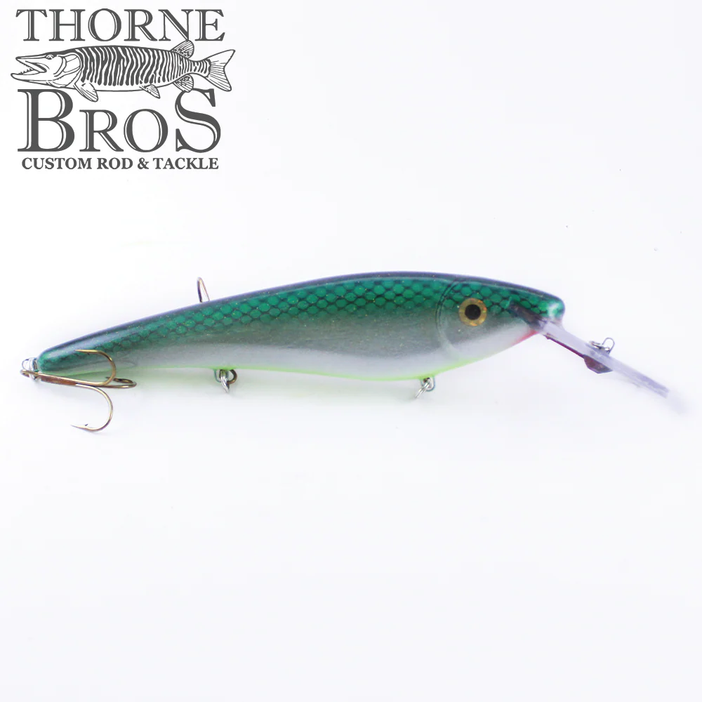 Slammer 10" Shallow Shad - Image 3