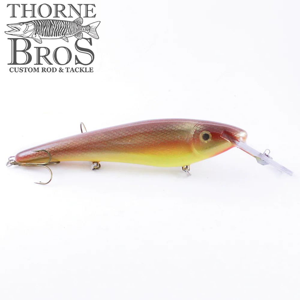 Slammer 10" Shallow Shad - Image 4