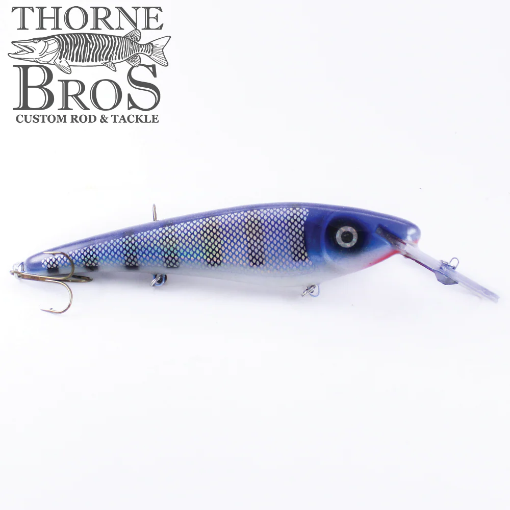 Slammer 10" Shallow Shad - Image 5