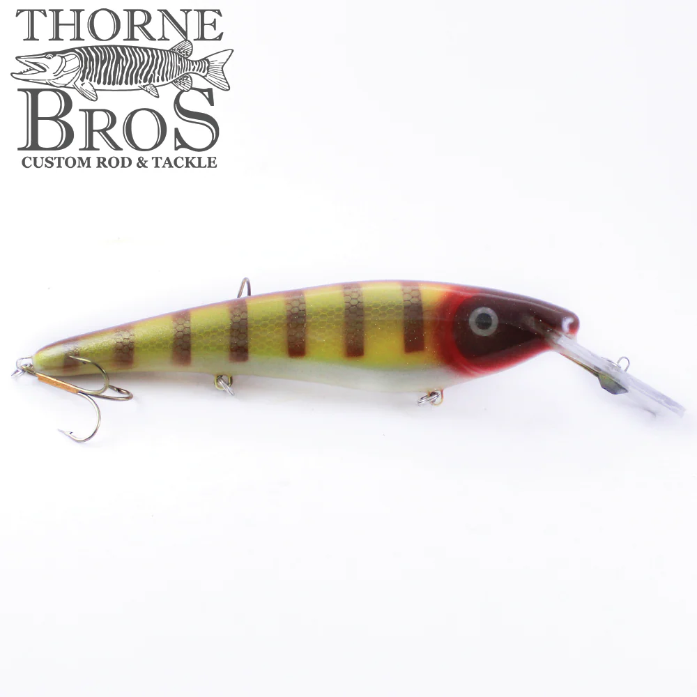 Slammer 10" Shallow Shad - Image 8