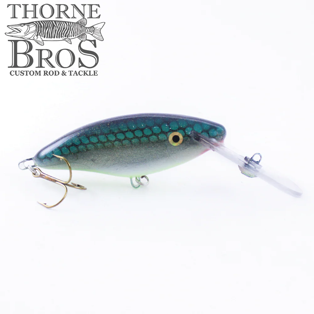 Slammer 4" Deep Shad - Image 10