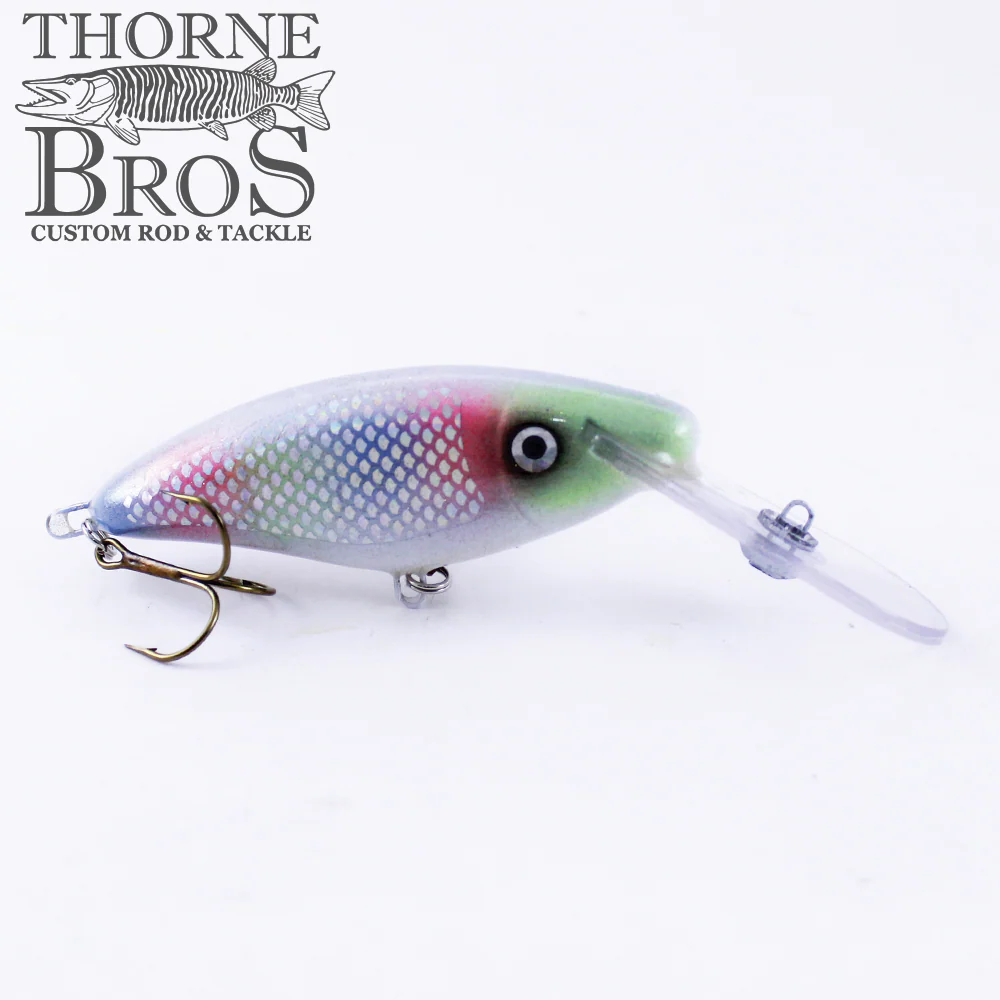 Slammer 4" Deep Shad - Image 2