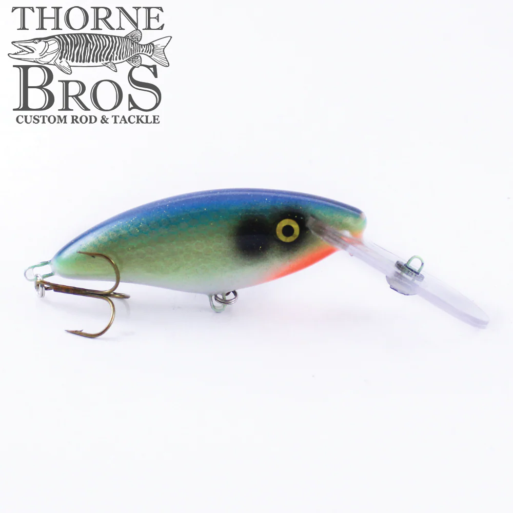 Slammer 4" Deep Shad - Image 8