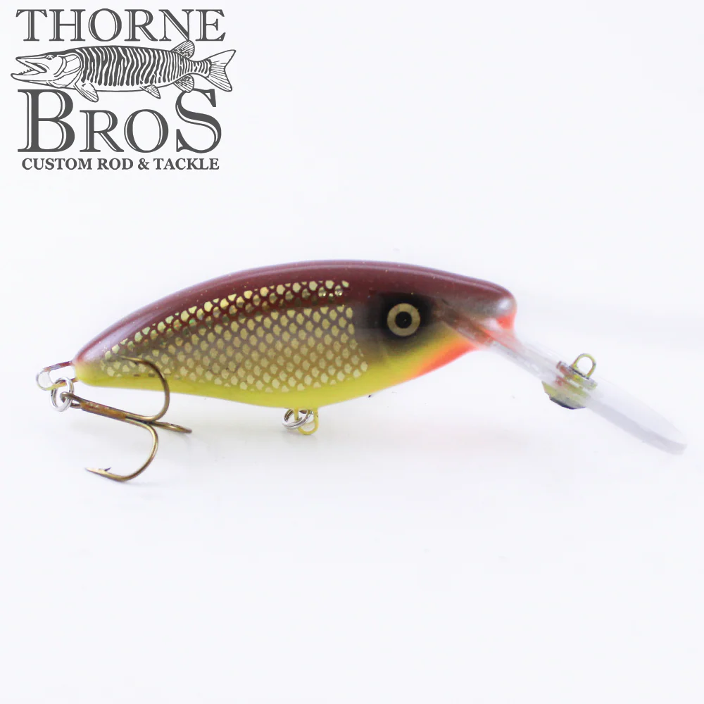 Slammer 4" Deep Shad - Image 9