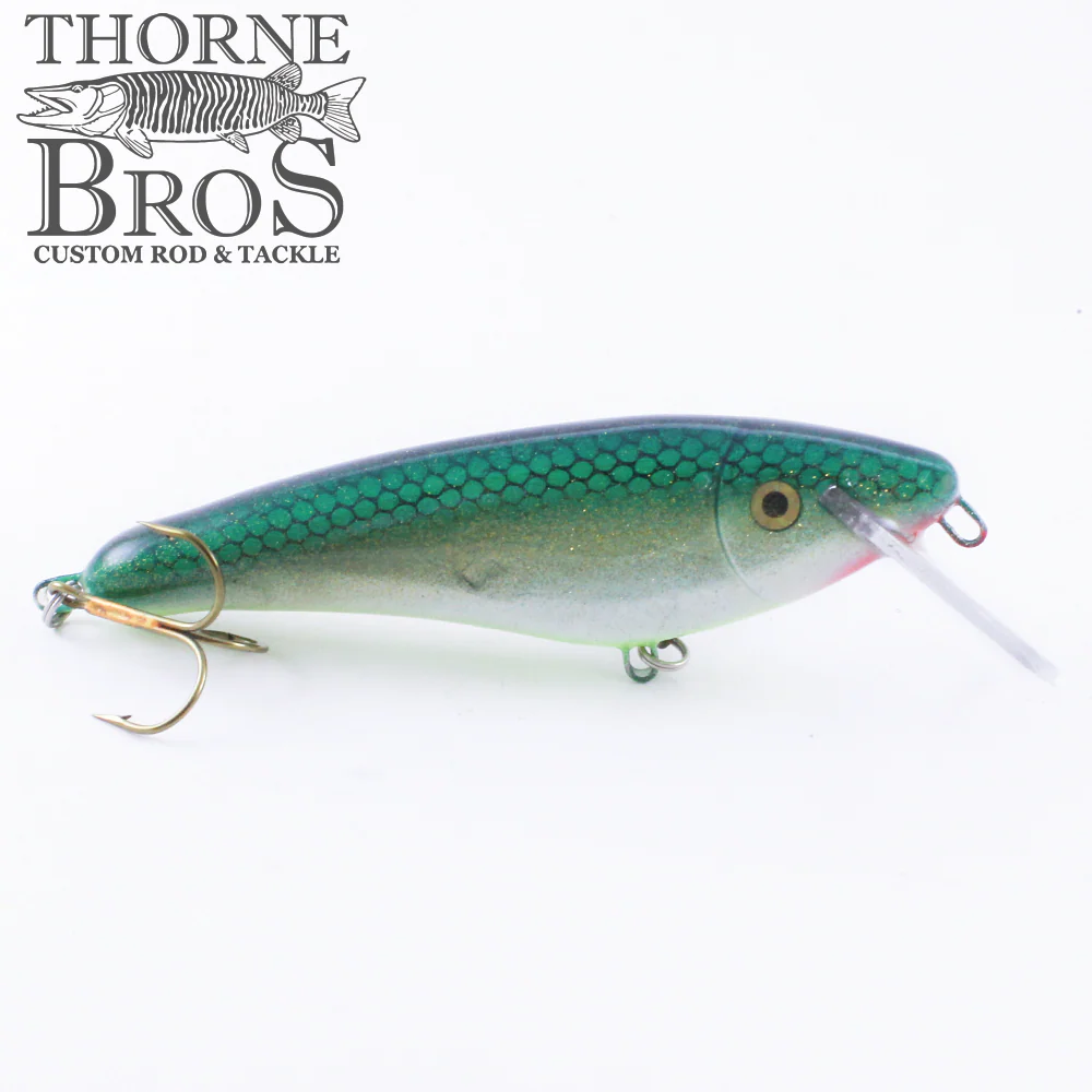 Slammer 5" Shad - Image 10