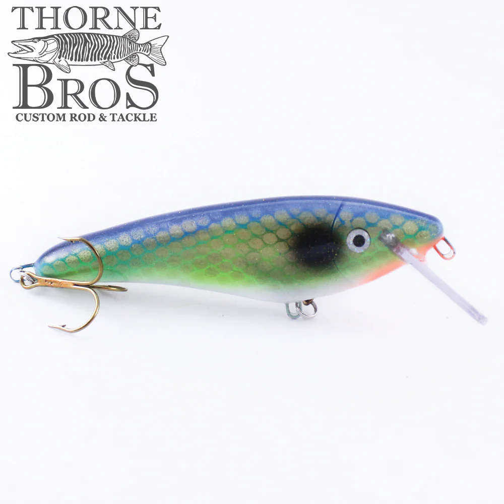 Slammer 5" Shad - Image 12