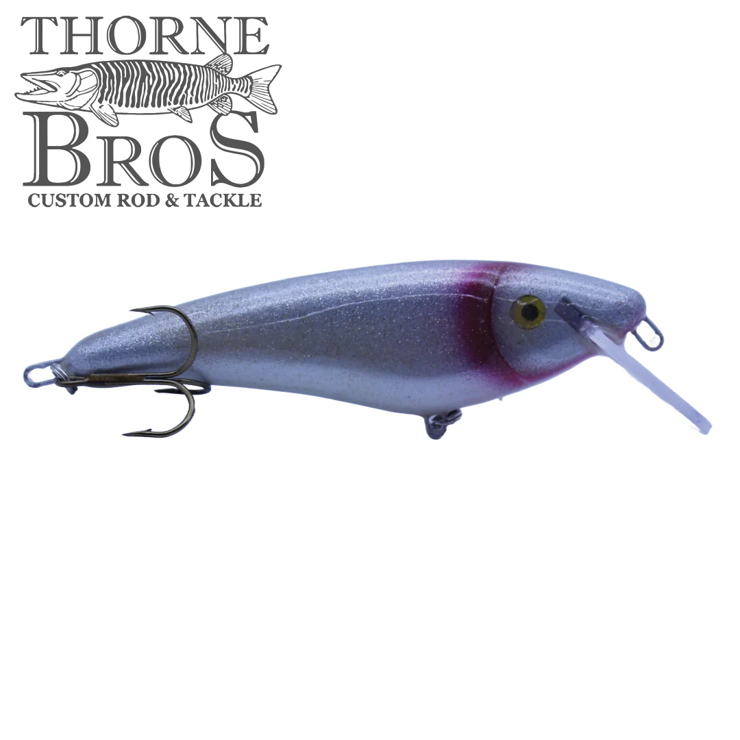 Slammer 5" Shad - Image 14