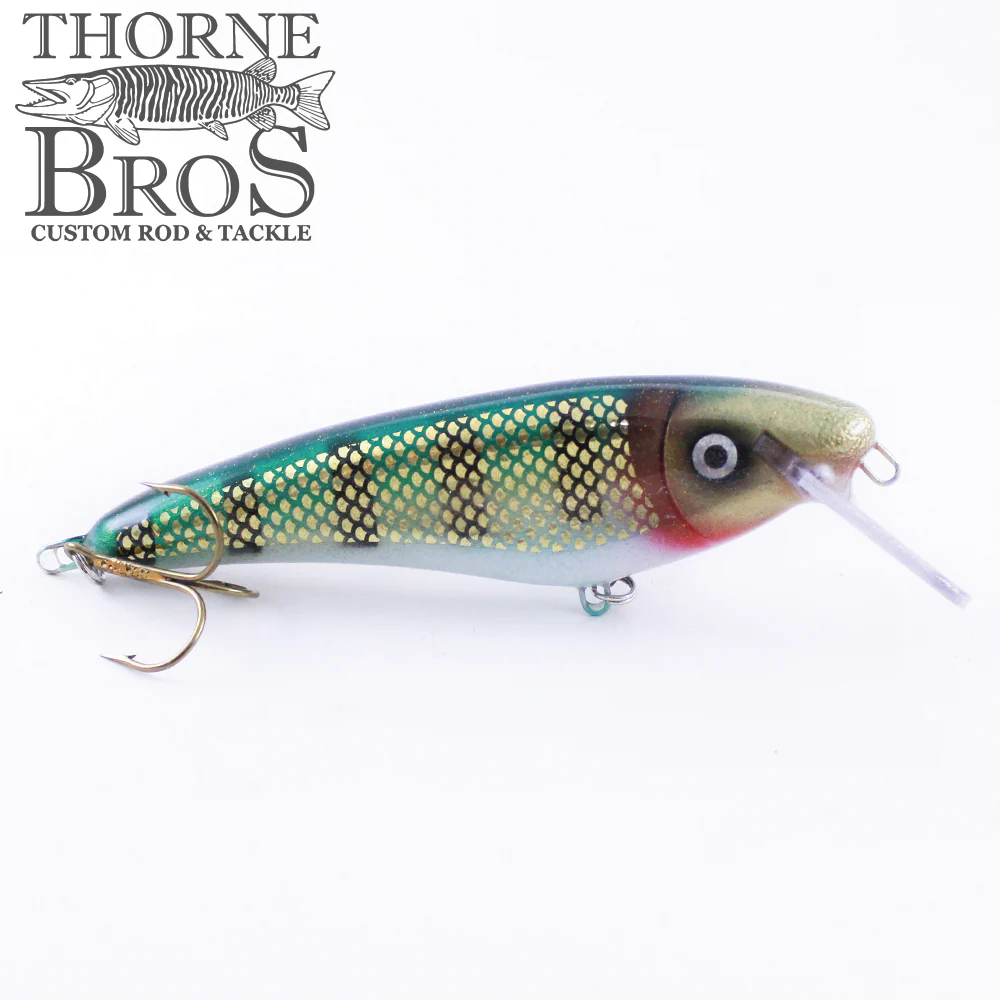 Slammer 5" Shad - Image 17