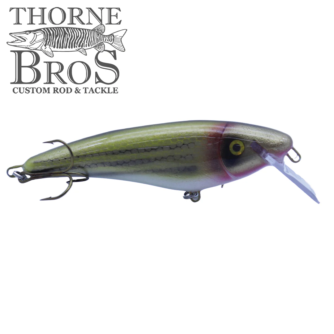 Slammer 5" Shad - Image 2