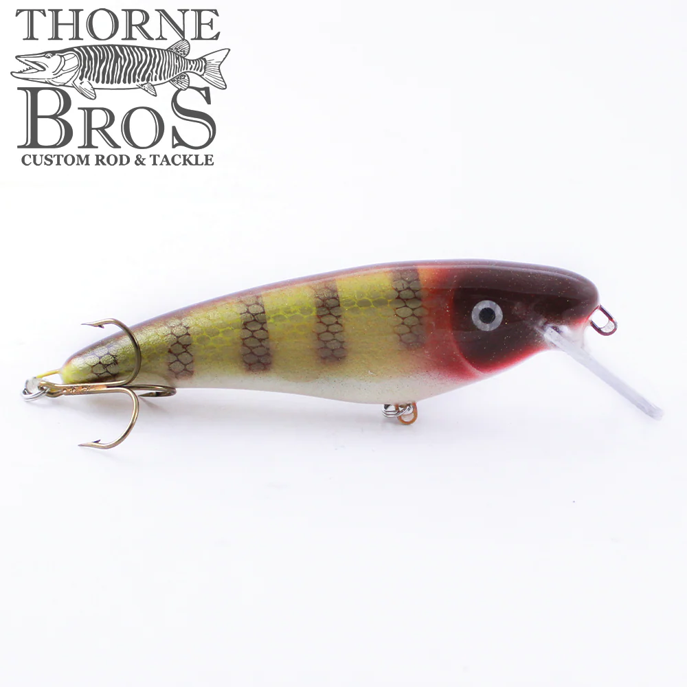 Slammer 5" Shad - Image 22