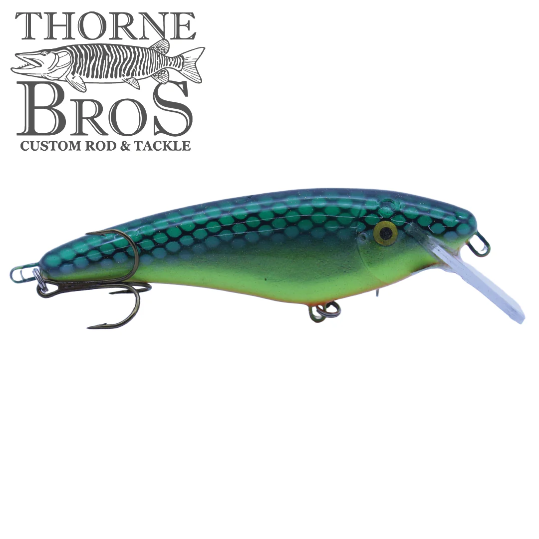 Slammer 5" Shad - Image 5
