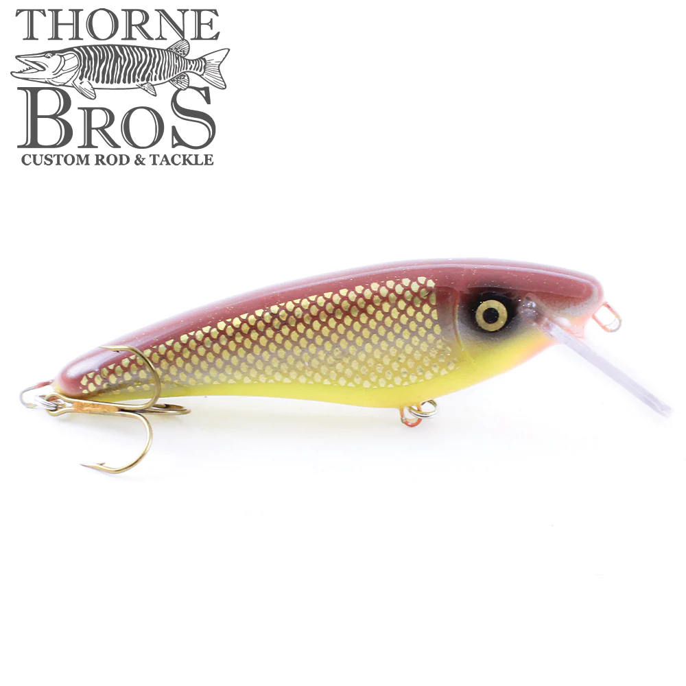 Slammer 5" Shad - Image 9