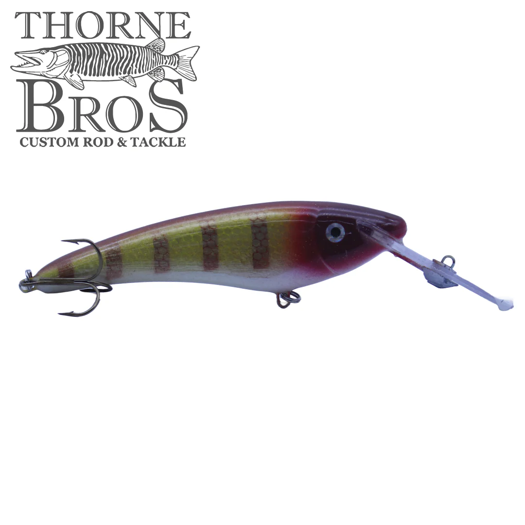 Slammer 6" Deep Shad - Image 11
