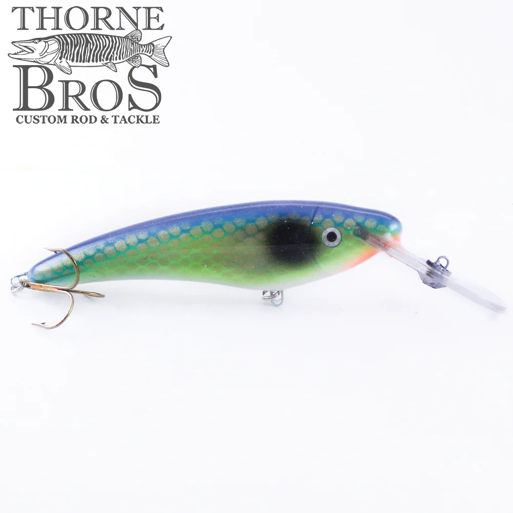 Slammer 6" Deep Shad - Image 2