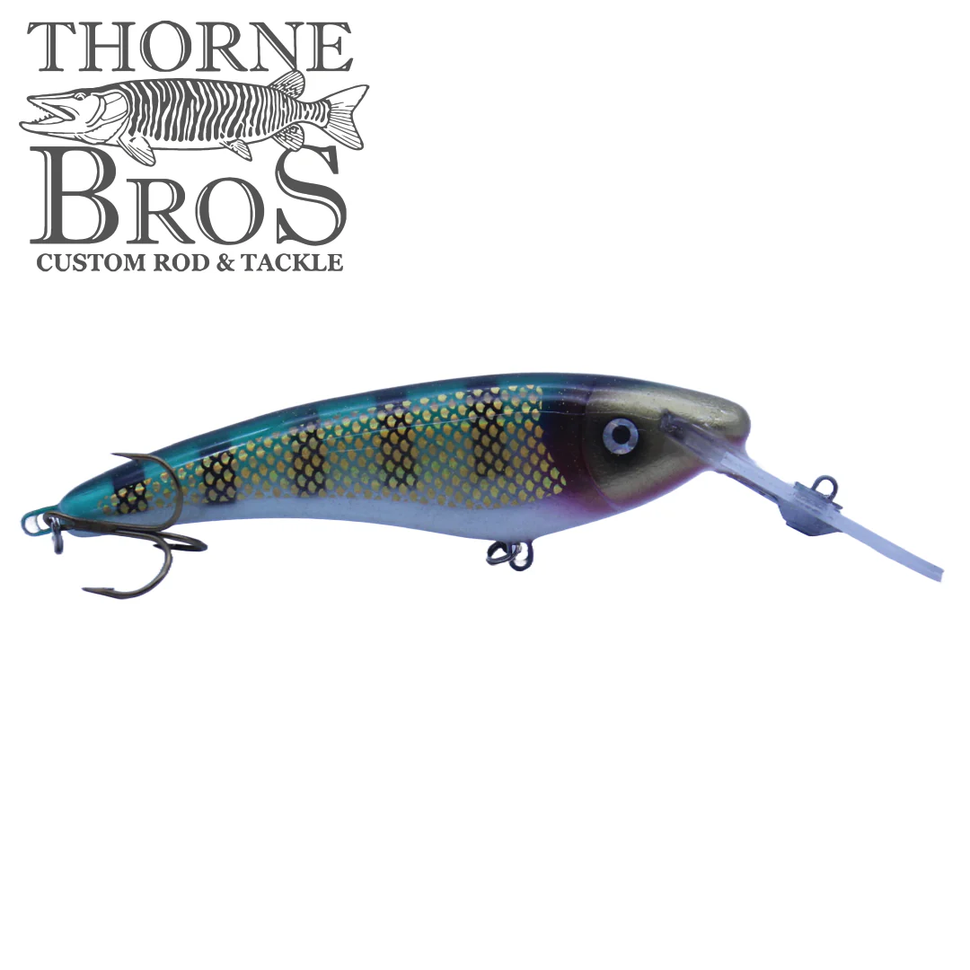 Slammer 6" Deep Shad - Image 4