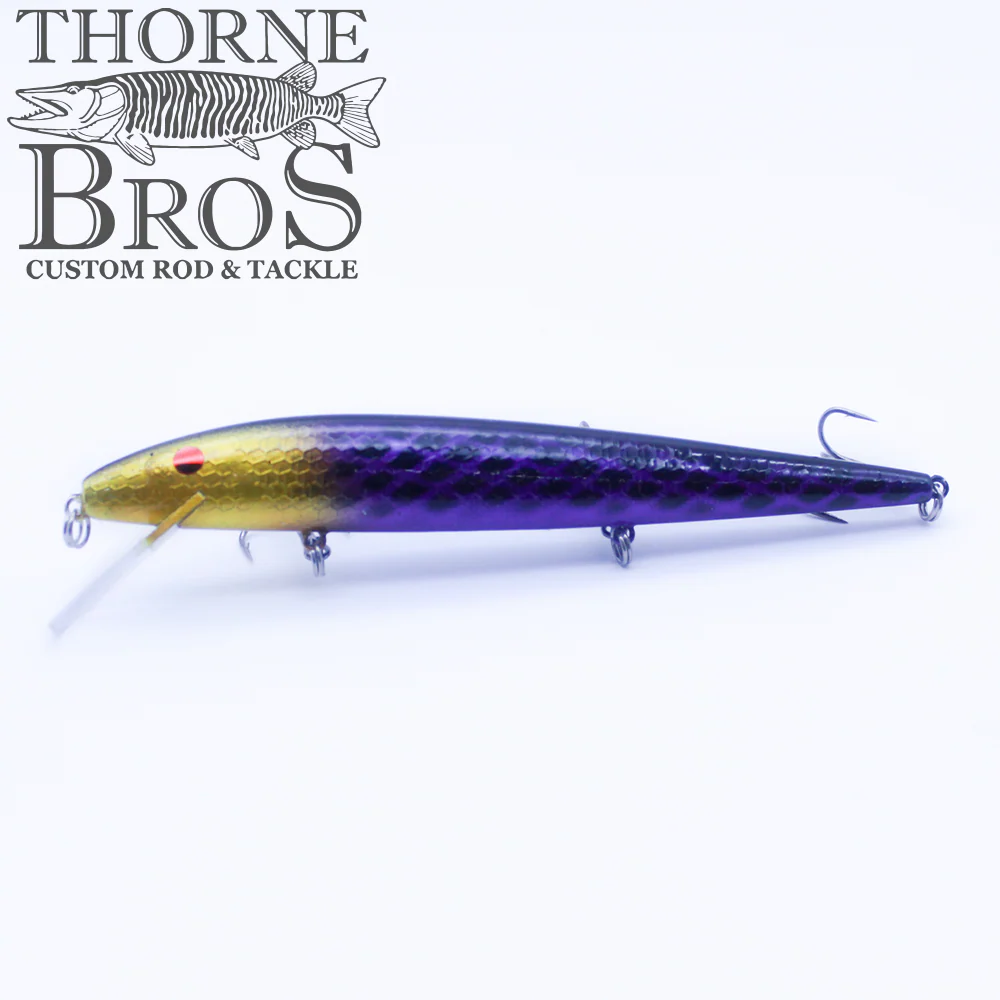 Smithwick Perfect 10 Rogue - Custom Painted Colors - Image 2