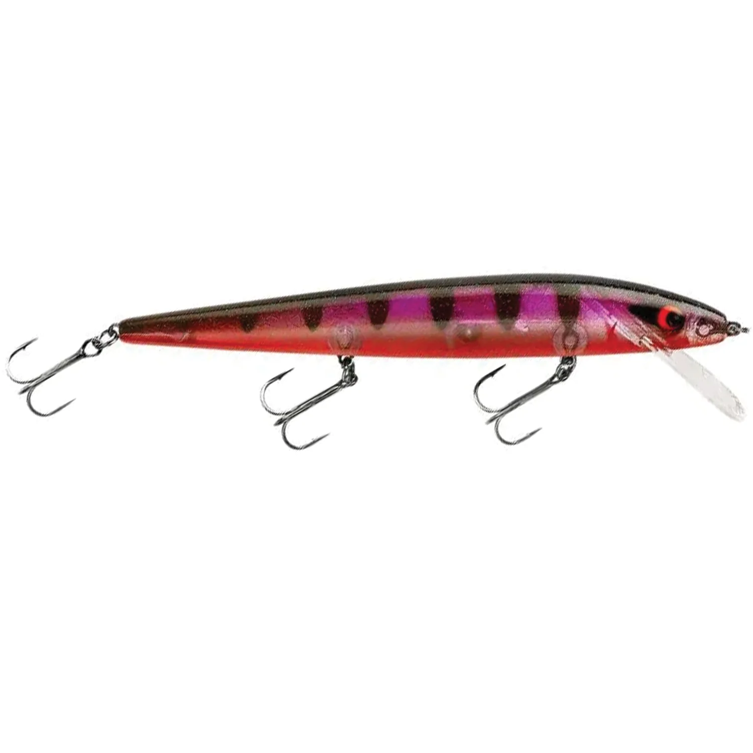 Smithwick Perfect 10 Rogue - Image 14