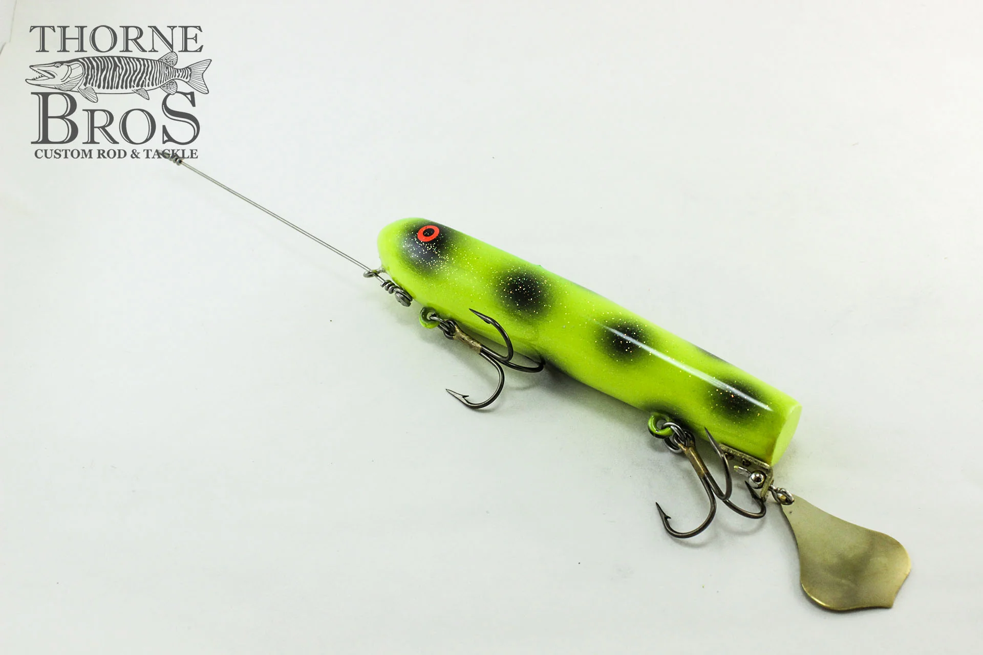 Smity Flaptail - Image 12