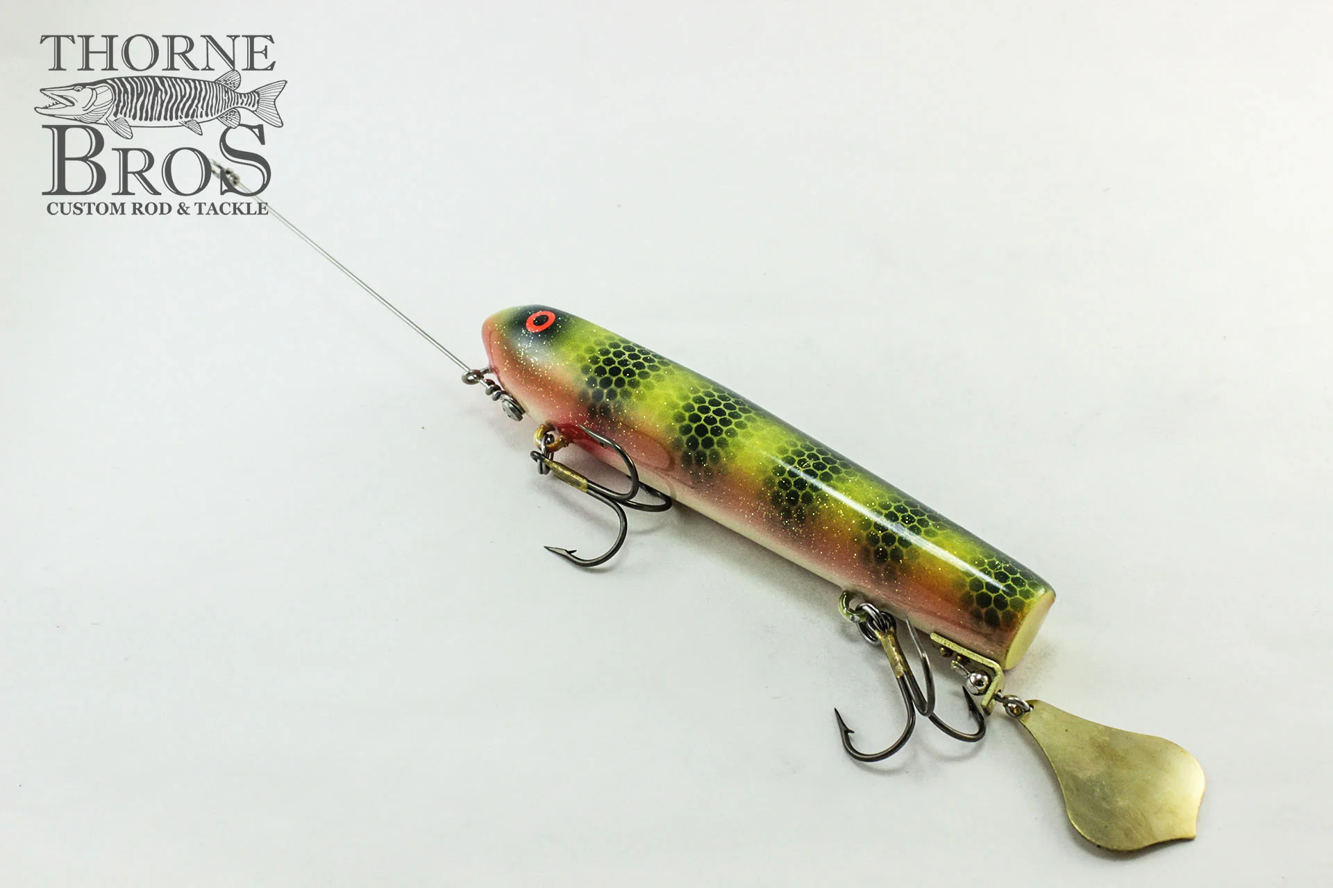 Smity Flaptail - Image 4