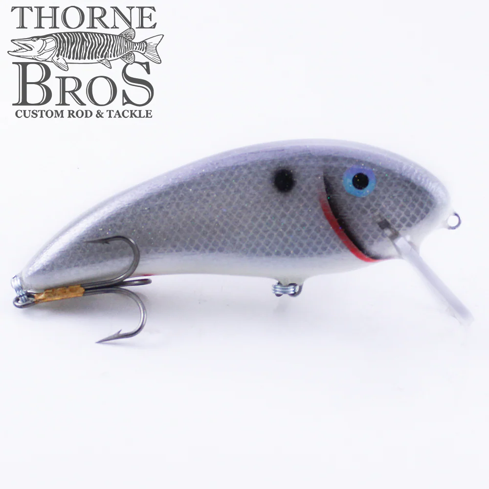 Smoker SS Shad - Image 6