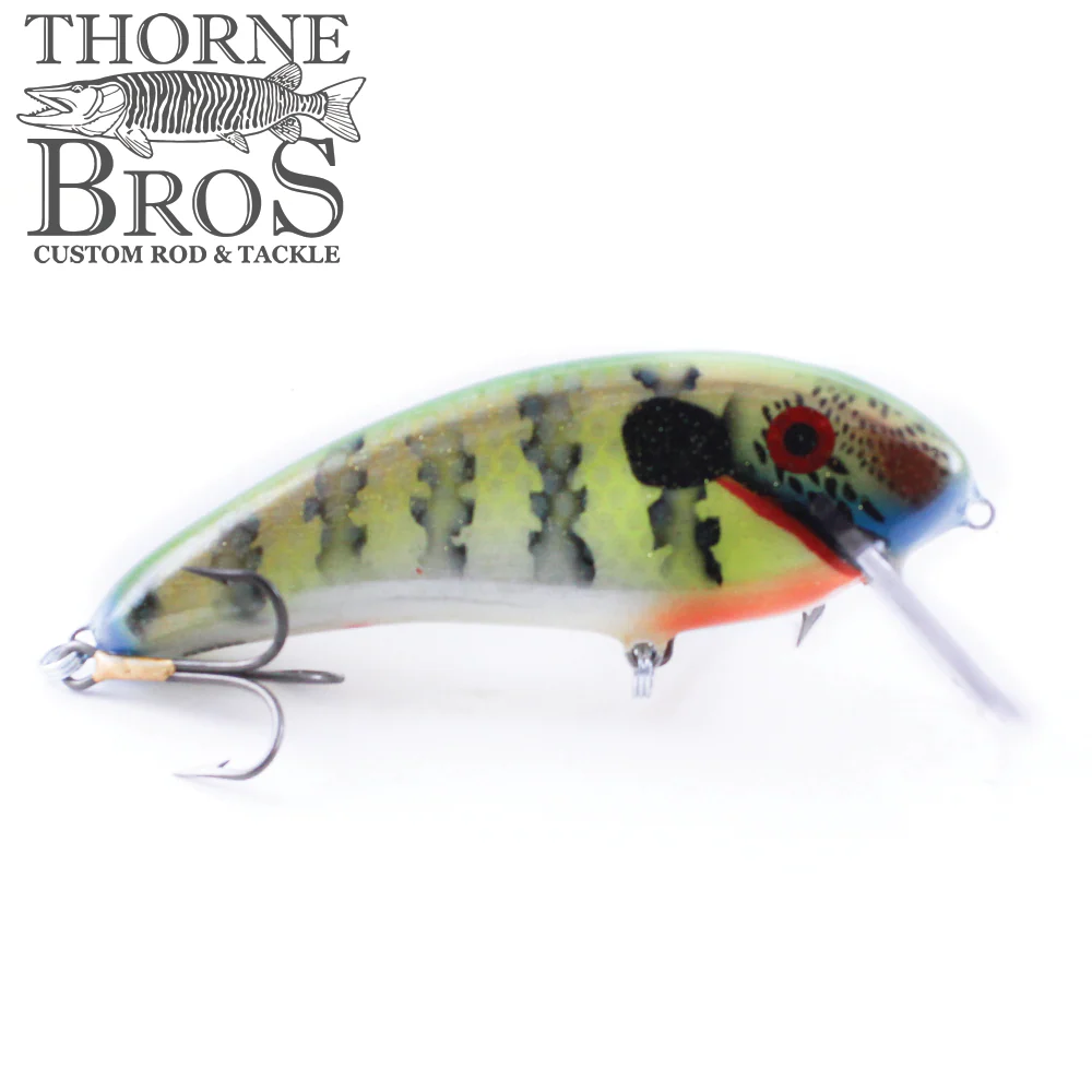 Smoker SS Shad - Image 8