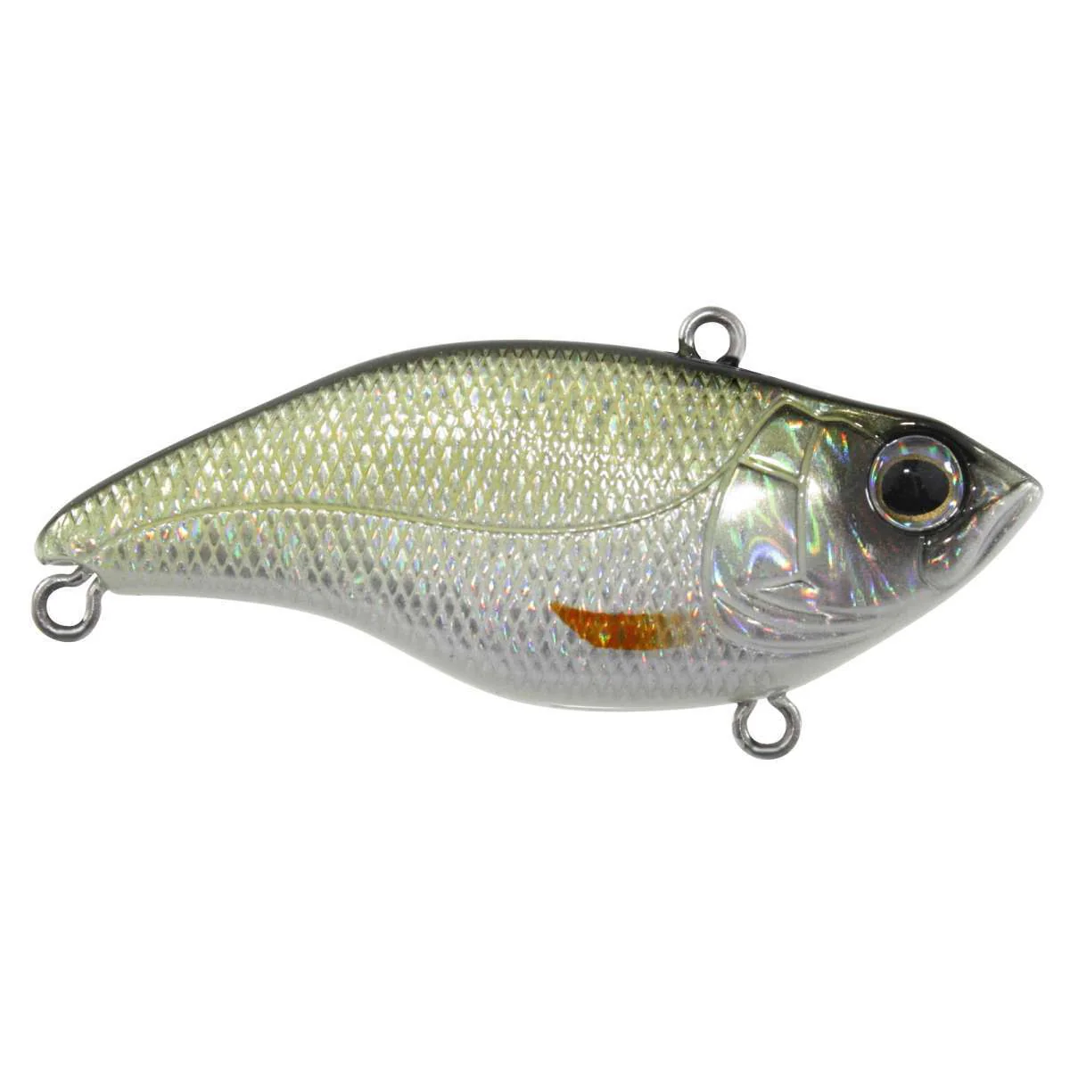 SPRO Aruku Shad Jr. Lipless Crankbait - Image 5