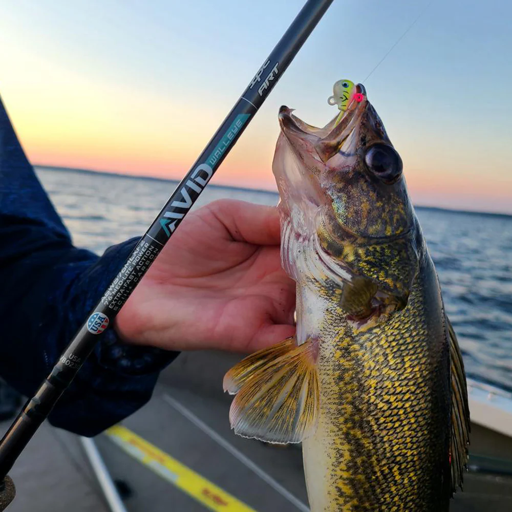 St. Croix Avid Walleye - Spinning - Image 4