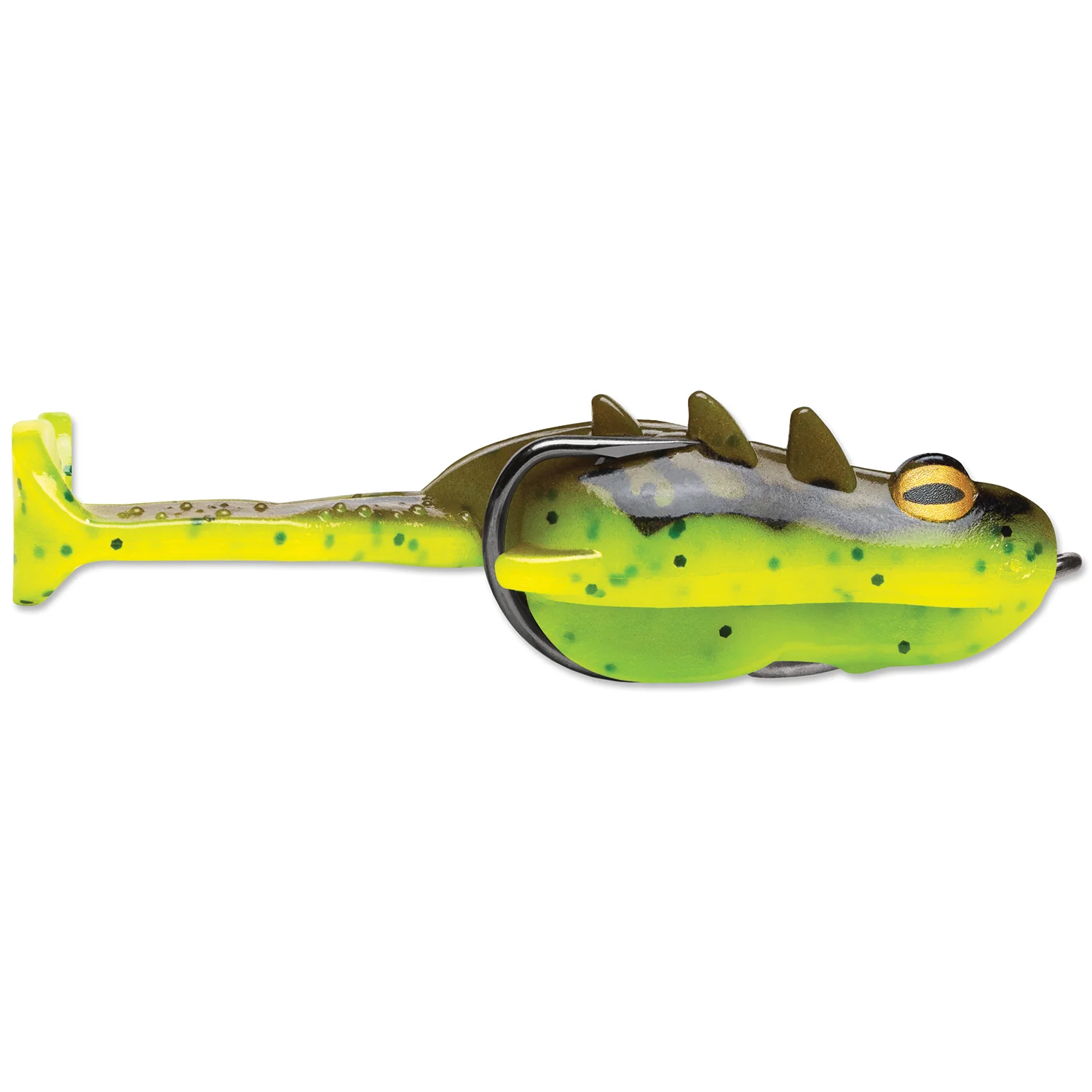 Storm Surge Frog - Image 3