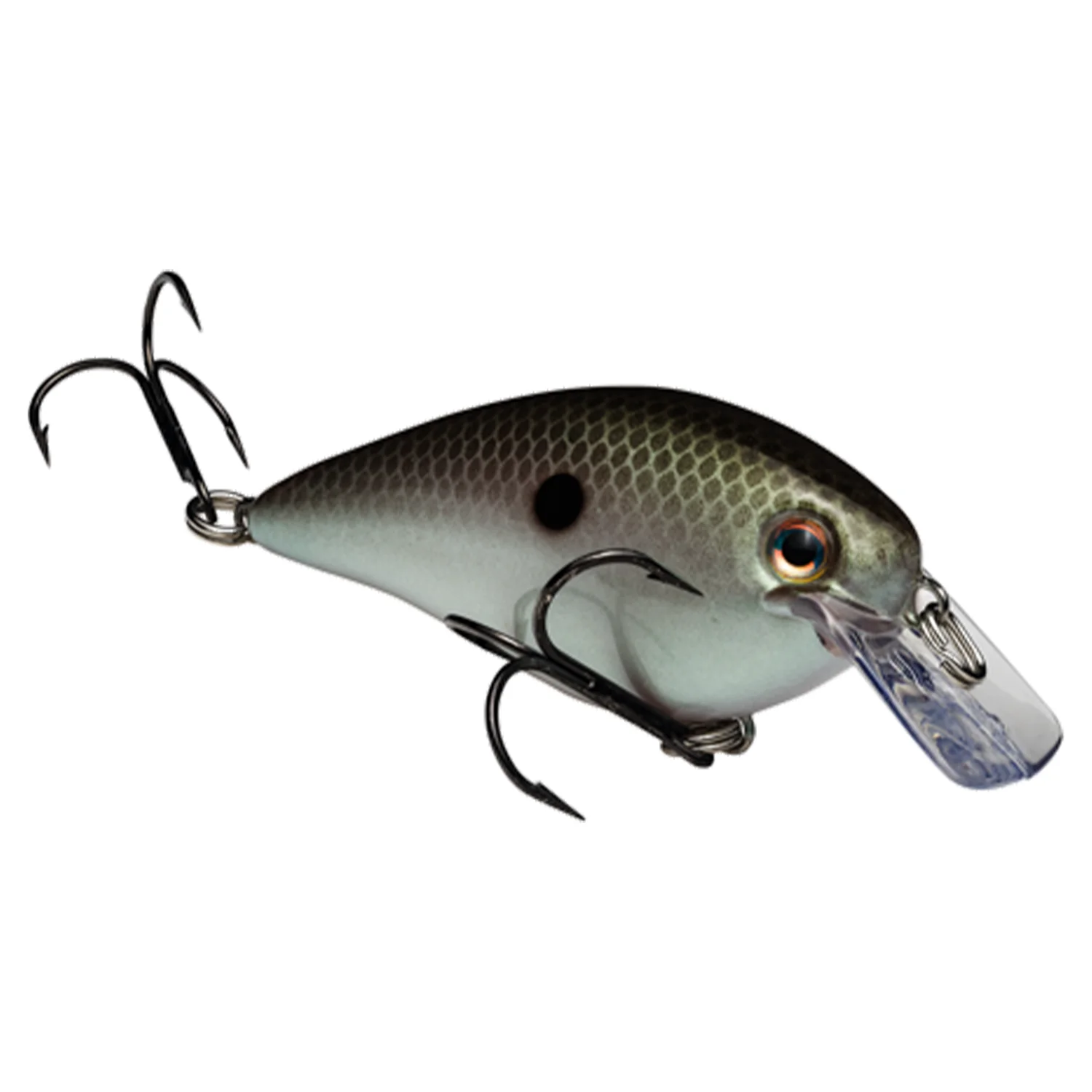 Strike King KVD Squarebill (Regular) - Image 23