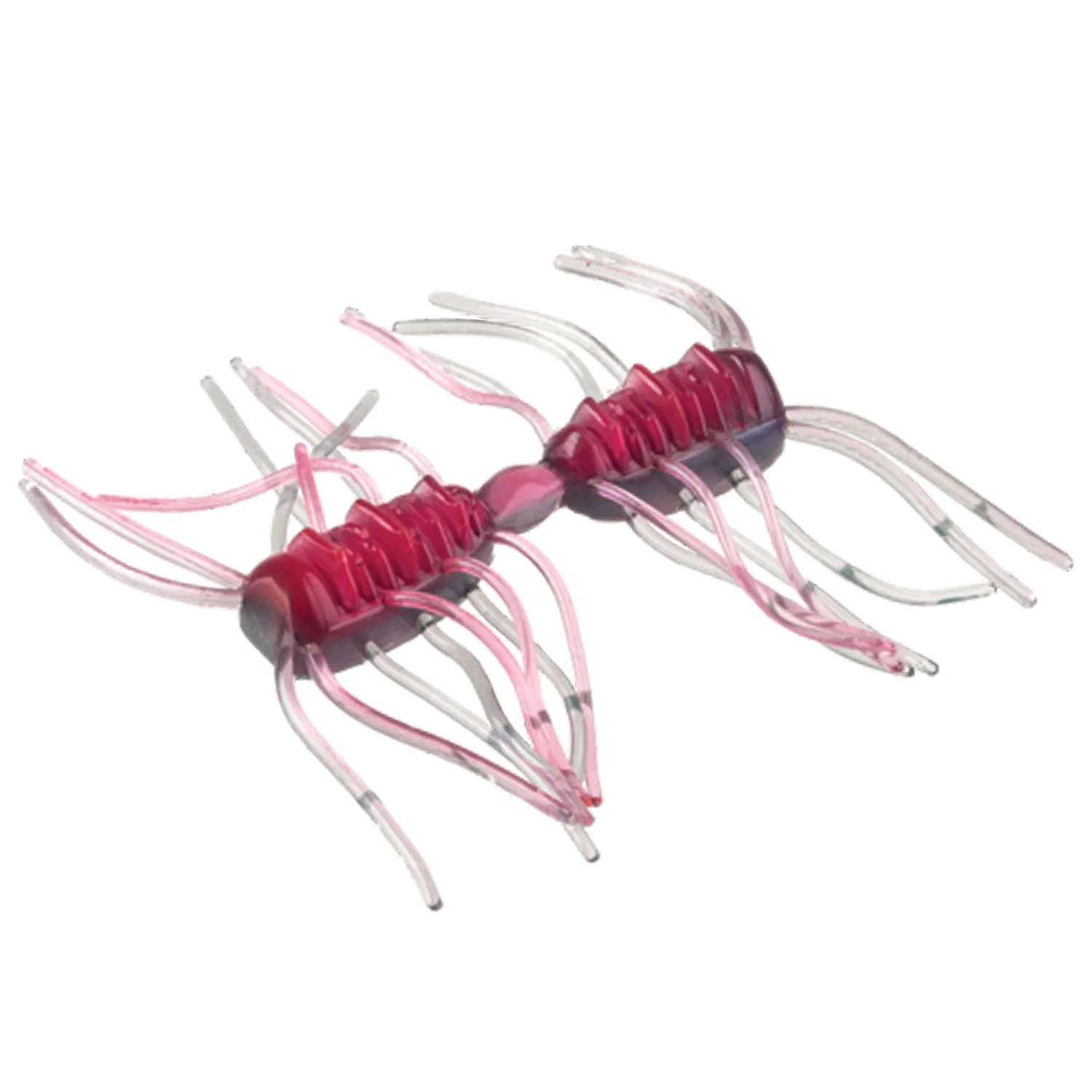Strike King Sexy Bug - Image 5