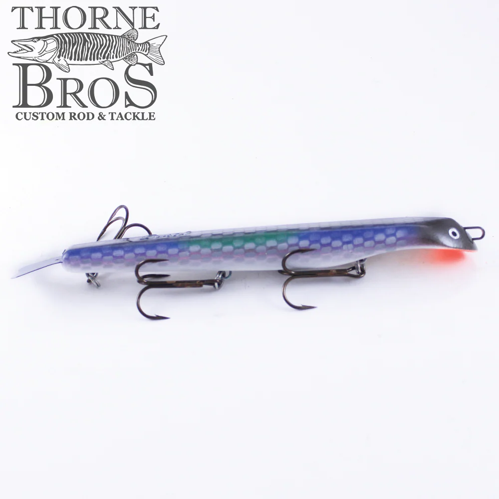 Suick Thriller HI 10" - Image 3