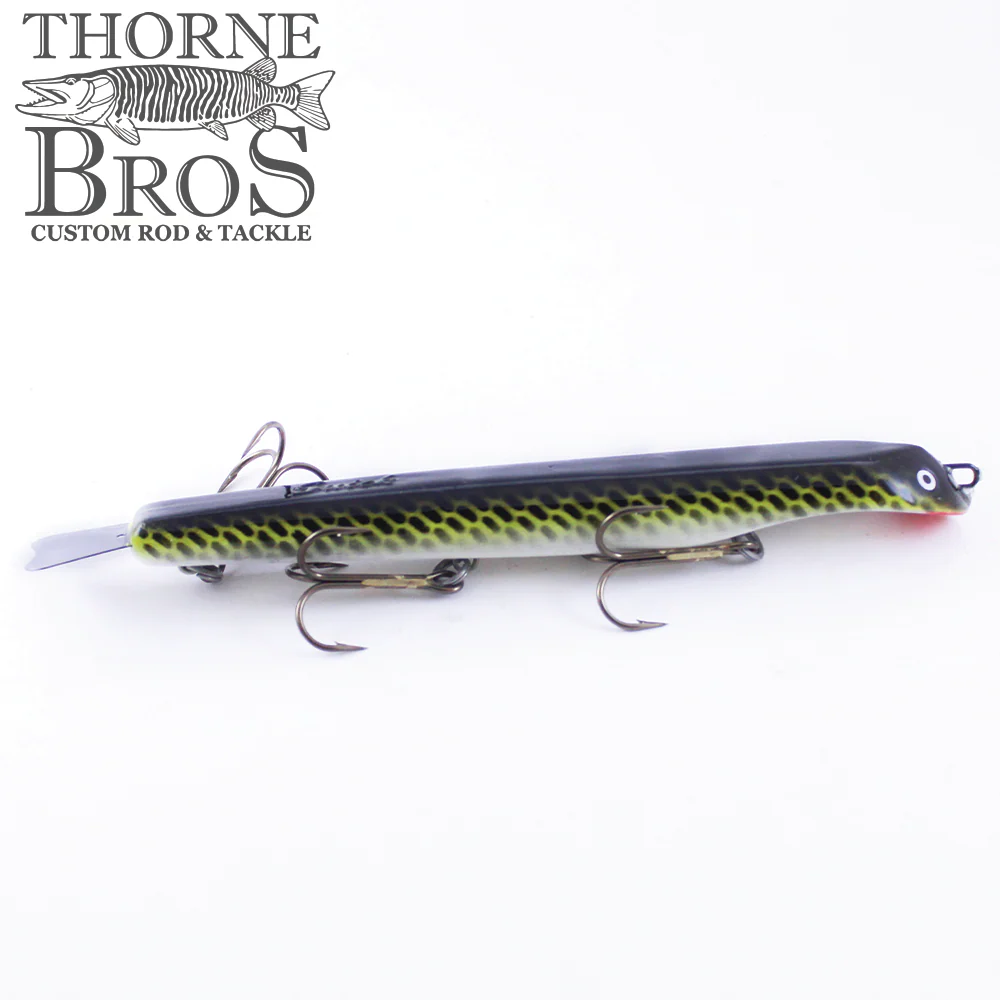 Suick Thriller HI 10" - Image 6