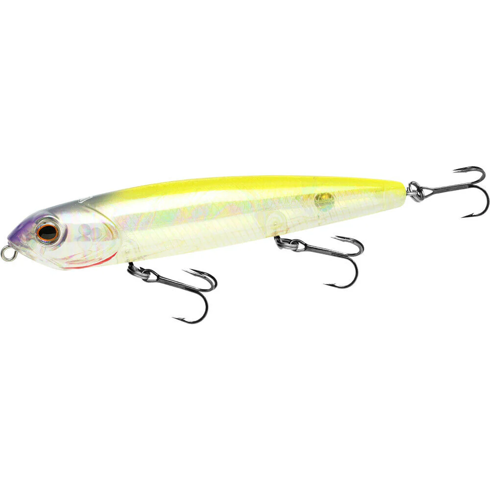 Teckel Kicknocker Pup - Image 6