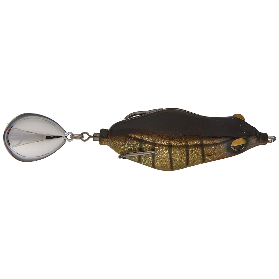 Teckel Maracker Frog - Image 3