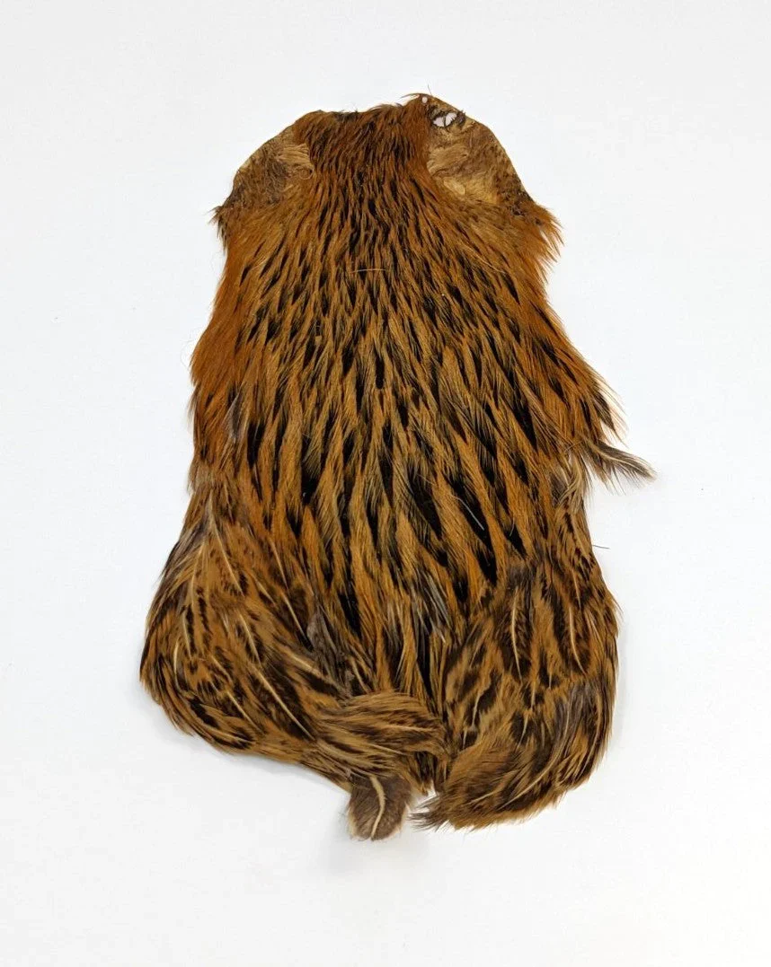 Wapsi Hen Necks - Image 3