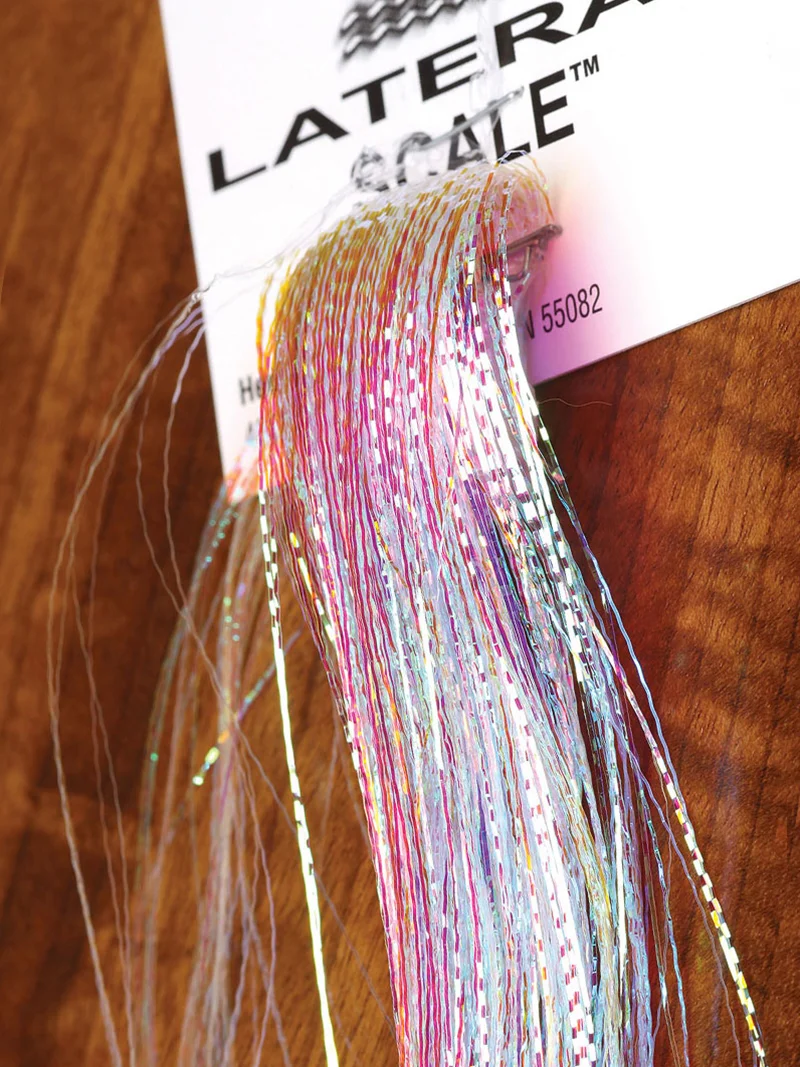 Lateral Scale - Image 5